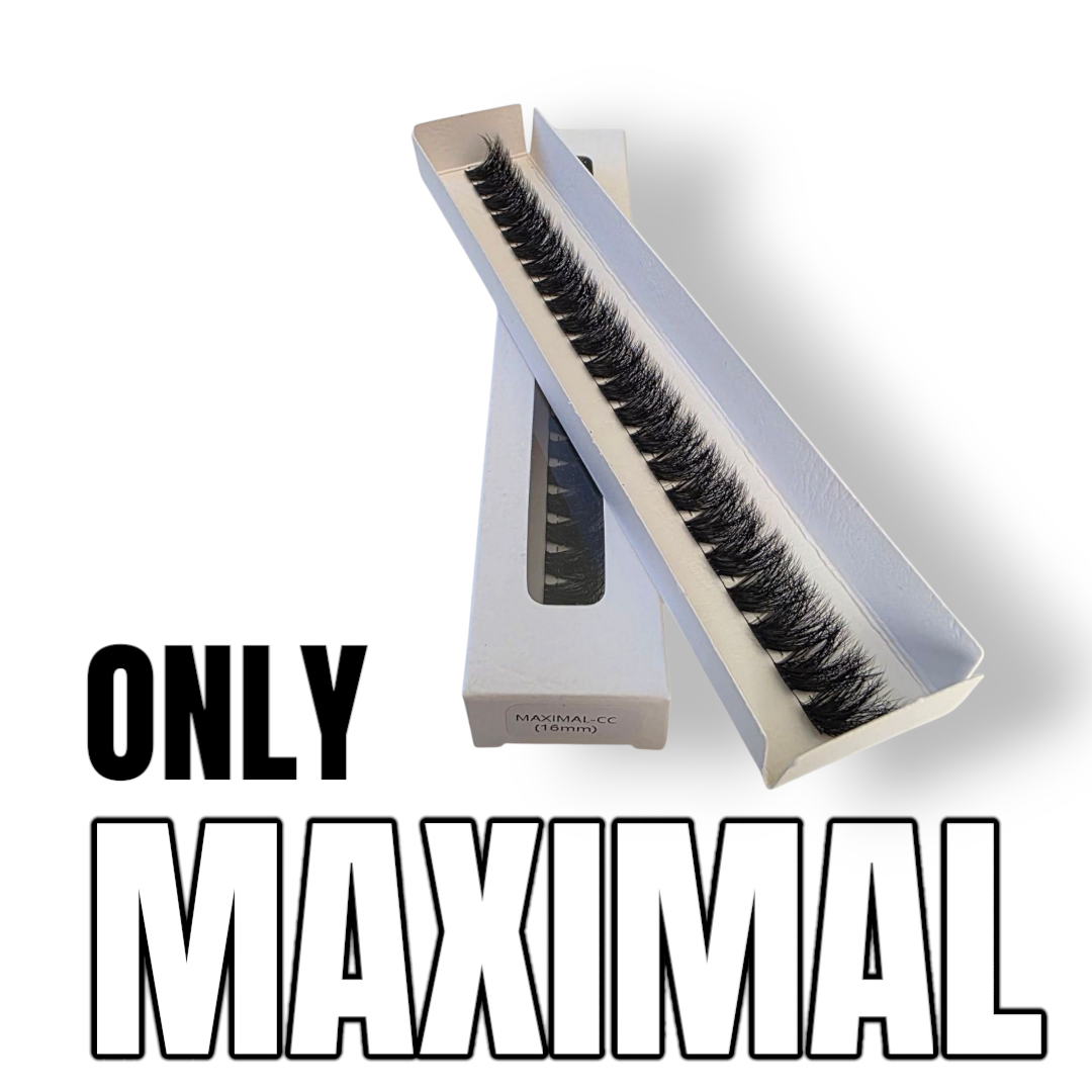 Only MAXIMAL– Deine Lieblings-Lashes im Refill-Format