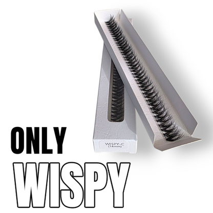 Only WISPY– Deine Lieblings-Lashes im Refill-Format