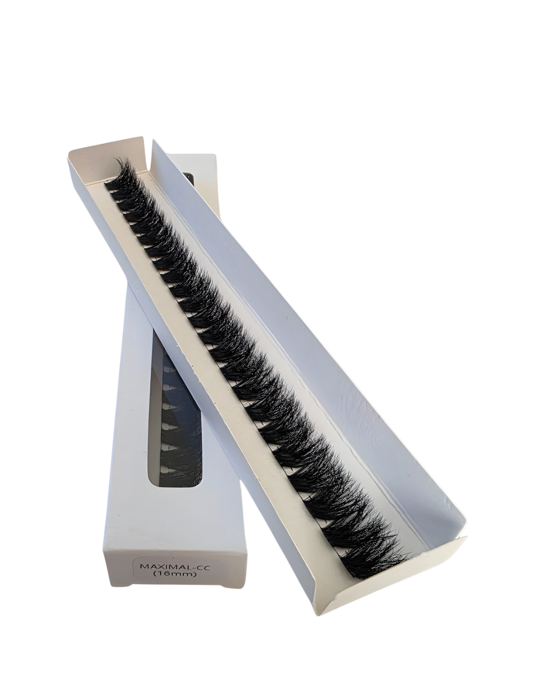 Only MAXIMAL– Deine Lieblings-Lashes im Refill-Format
